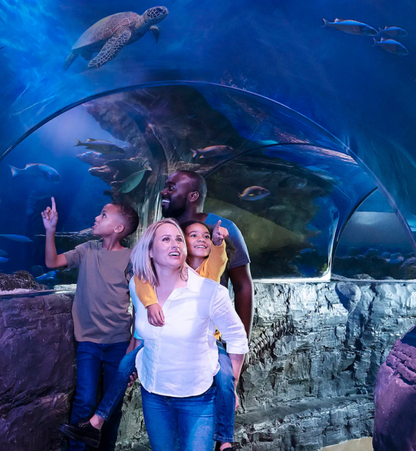 Blackpool (2048 x 1365 px) (1024 x 685 px) (1024 x 768 px) (969 x 1212 px)